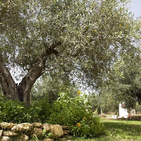Holiday home Casa Raineri